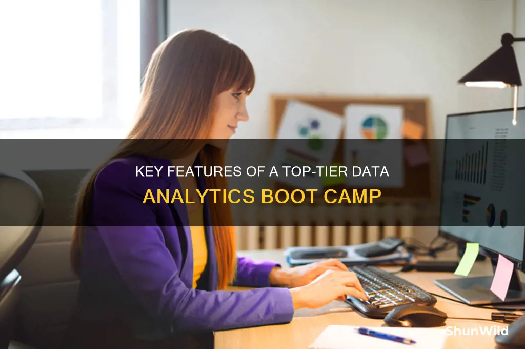 what makes a data analytics boot camp good