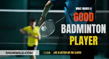 Badminton Skills: Secrets of a Champion