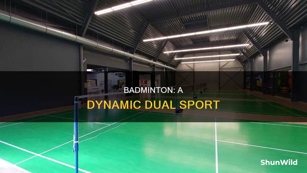 what makes badminton an interesting dual sport