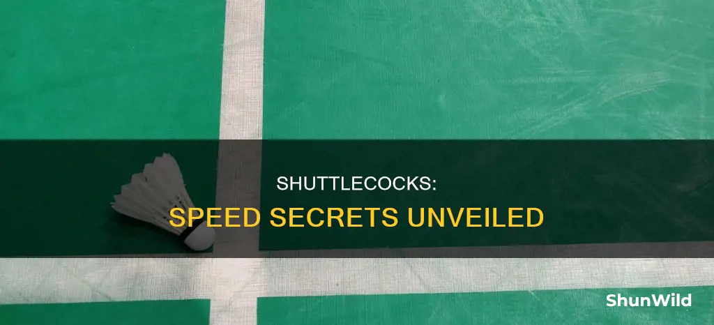 what makes badminton shuttercocks different speeds