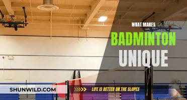 Badminton: A Unique Sport of Precision and Strategy