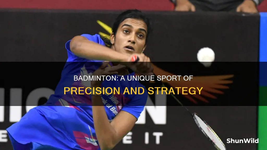 what makes badminton unique