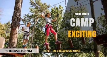 Unforgettable Adventures: What Makes Summer Camp Exciting