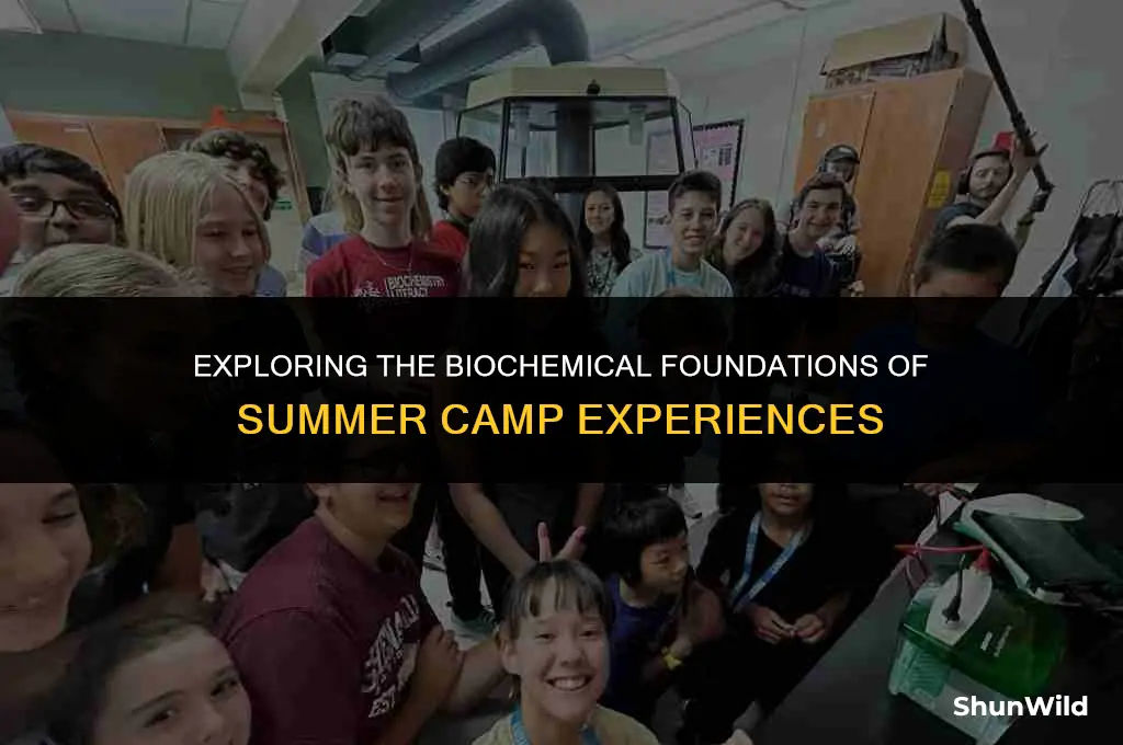 what makes camp in biochem