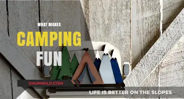 Embracing the Great Outdoors: What Makes Camping Fun?