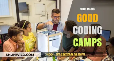 Unlocking Potential: The Key Ingredients of Effective Coding Camps