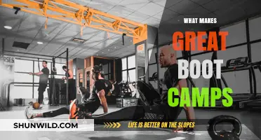 Key Elements of Effective Boot Camps for Success and Growth