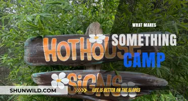 Exploring Camp Culture: What Makes Something Truly Camp?