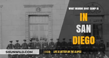 Exploring San Diego's Marine Boot Camp: A Comprehensive Guide