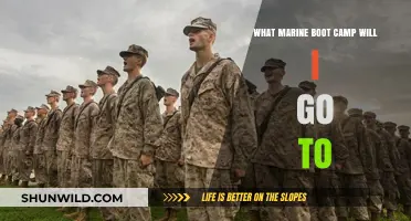 Choosing Your Marine Boot Camp: Location, Training, and What to Expect