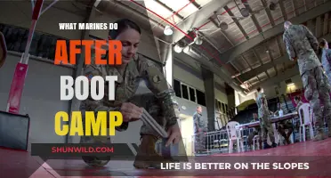 Life After Boot Camp: Marines' Roles, Training, and Career Paths