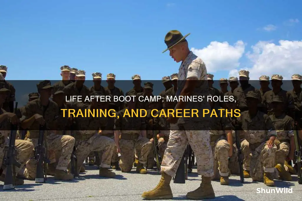 what marines do after boot camp