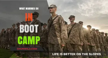 Marine Boot Camp: Rigorous Training, Discipline, and Transformation Explained