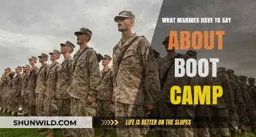 Marines Share Raw Insights on Boot Camp Challenges and Triumphs