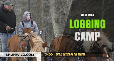 Exploring the Basics: What Does Logging Camp Mean?