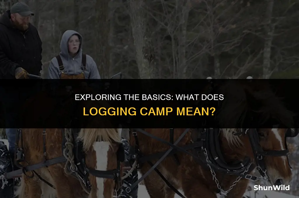 what mean logging camp