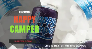 Understanding Bliss: What It Means to Be a Happy Camper