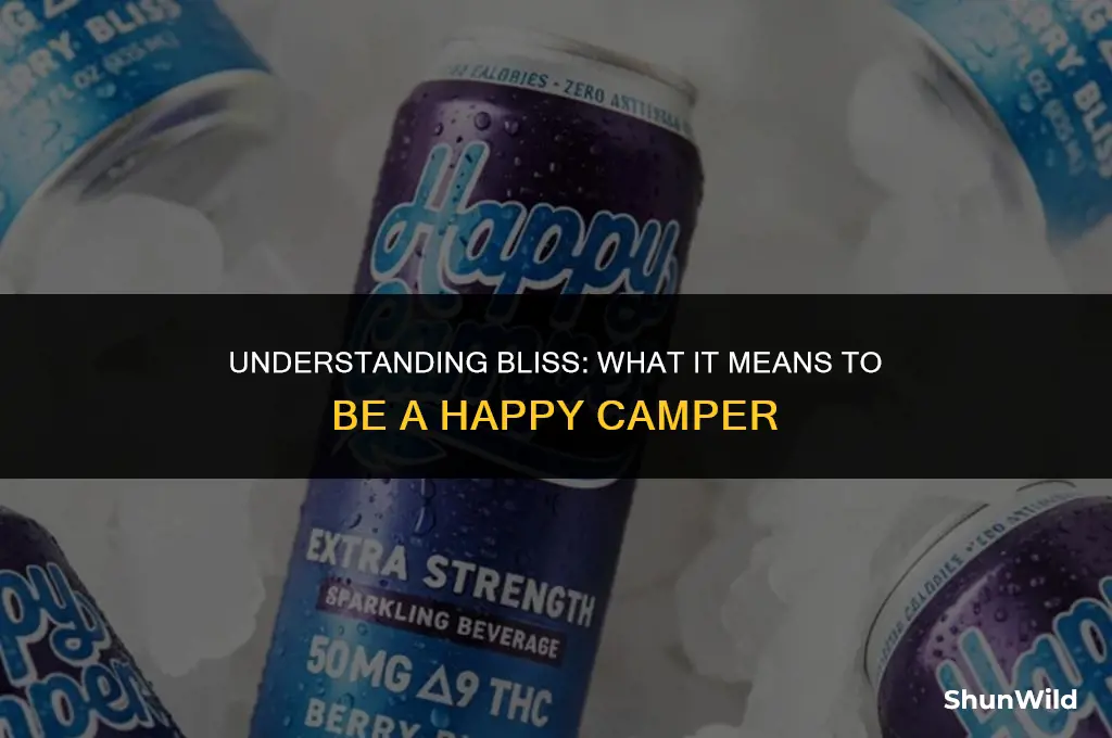 what means happy camper