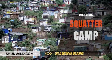 Understanding Squatter Camps: A Deep Dive into Informal Settlements