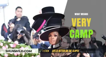 Exploring the Meaning of 'Very Camp': A Deep Dive into Fashion and Performance