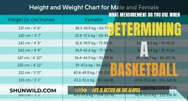 The Science of Basketball: Unveiling the Perfect Shot's Measure