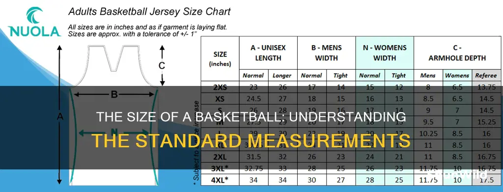 what measurement do you use when determining a basketball