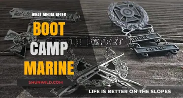 Marine Corps Boot Camp Completion: Understanding the Medals and Awards Earned