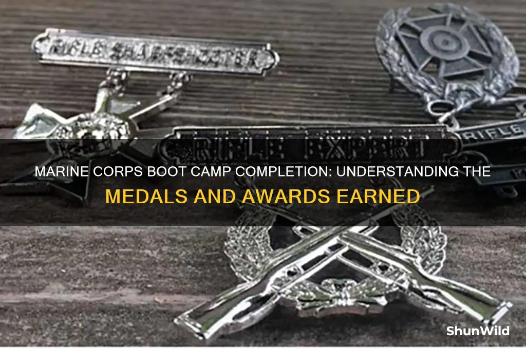 what medal after boot camp marine