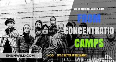 Unveiling Dark Medical Discoveries: Concentration Camps' Controversial Cures Explored