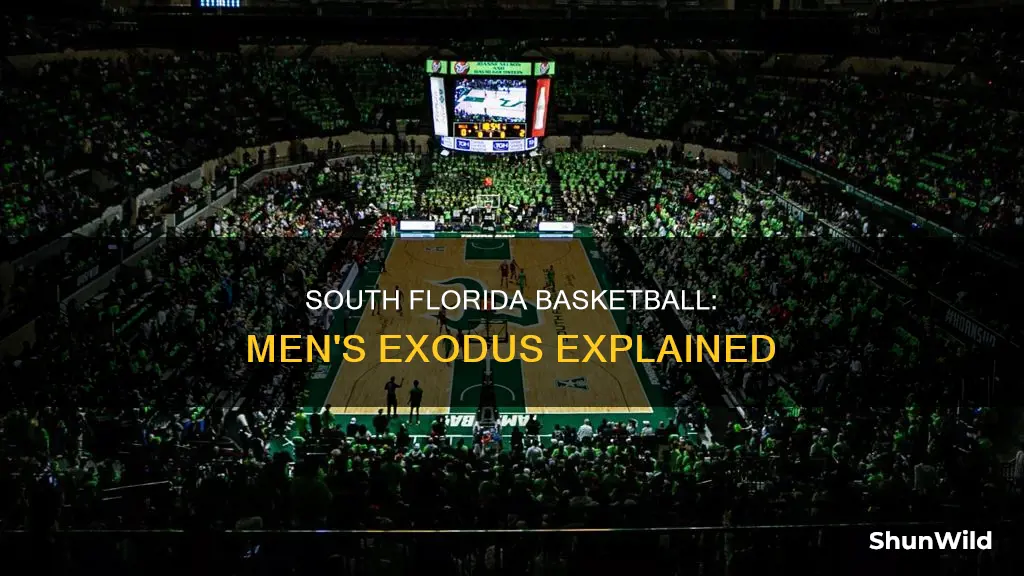 what men are leaving south florida basketball