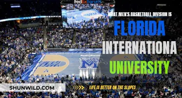 Florida International University: Men's Basketball Division Explained