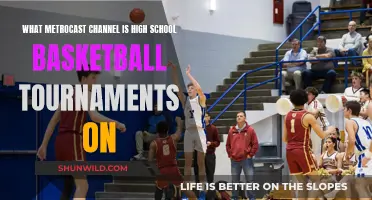 Metrocast Channel for High School Basketball Games