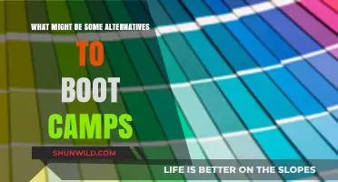 Beyond Boot Camps: Exploring Effective Alternatives for Personal Growth