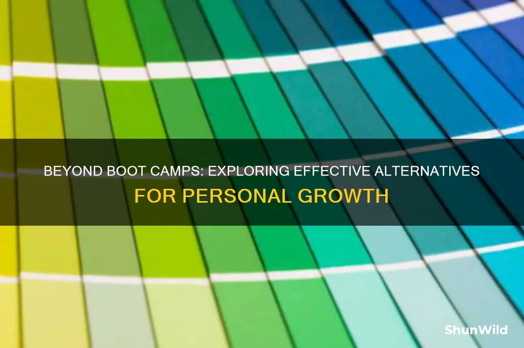 what might be some alternatives to boot camps