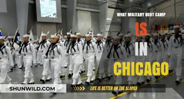 Discover Chicago's Military Boot Camp: Training, Location, and Benefits