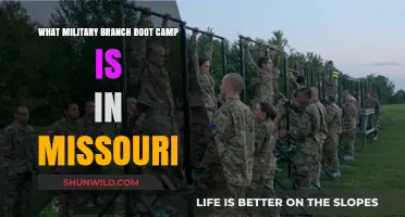 Missouri's Military Boot Camp: Which Branch Trains in the Show-Me State?