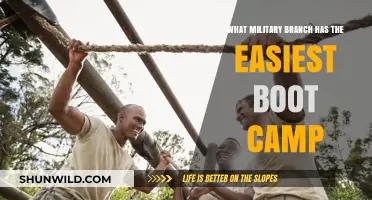 Easiest Military Boot Camp: Which Branch Offers the Least Intense Training?