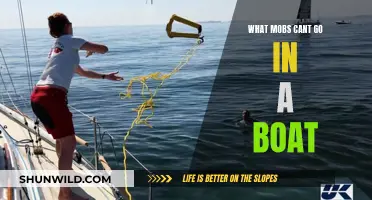 Which Mobs Can't Go in a Boat?