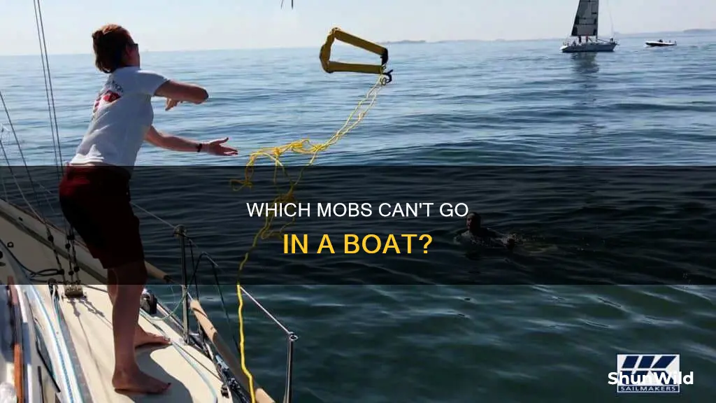 what mobs cant go in a boat