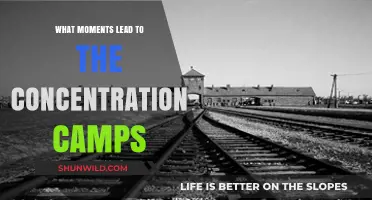 The Dark Path: Events That Led to Concentration Camps