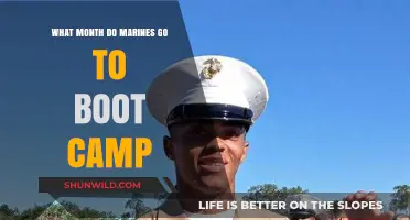 When Do Marines Begin Boot Camp: A Monthly Recruitment Guide