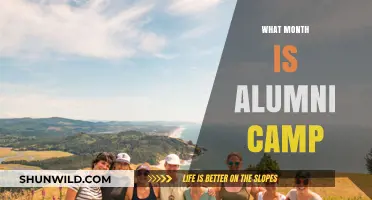 Reconnecting with Old Friends: Alumni Camp Awaits!