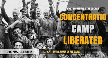 Dachau Concentration Camp Liberation: The Month of Freedom Revealed