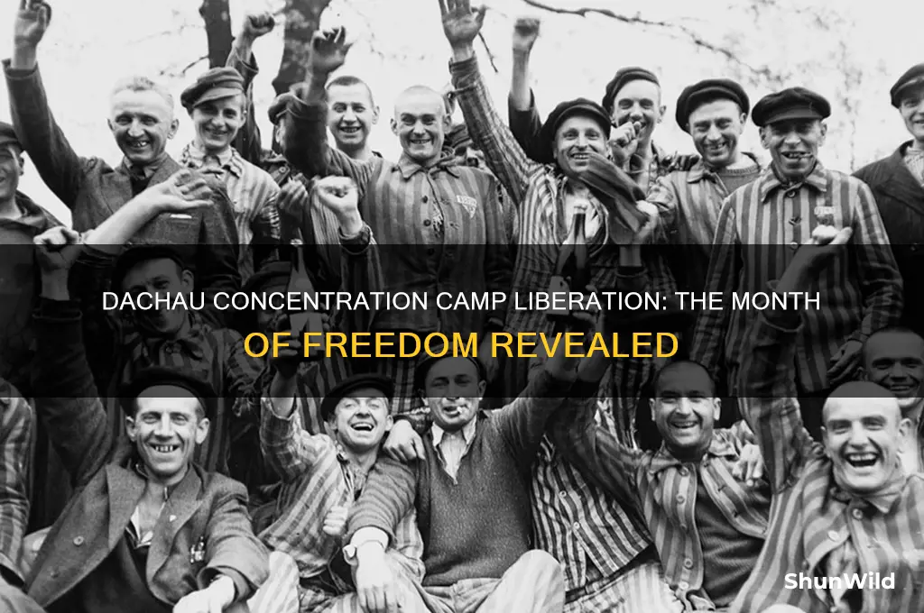 what month was the dachau concentration camp liberated