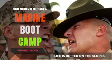 Marine Boot Camp Months: When Recruits Begin Their Journey