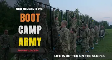 Army Boot Camp Guide: Matching MOS to Training Locations