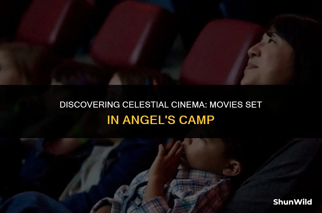 what movies in angels camp