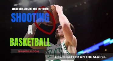 Unleash Your Shot: The Muscular Magic of Basketball Shooting