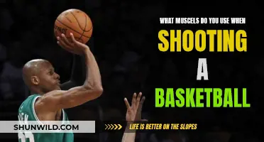 Muscle Memory: Shooting Hoops with Precision