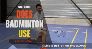 Badminton Workout: Which Muscles Are Activated?